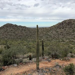 Meet your Posher, Ash